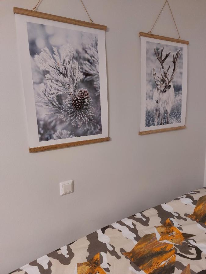 Nordic Home, With Private Sauna Rovaniemi